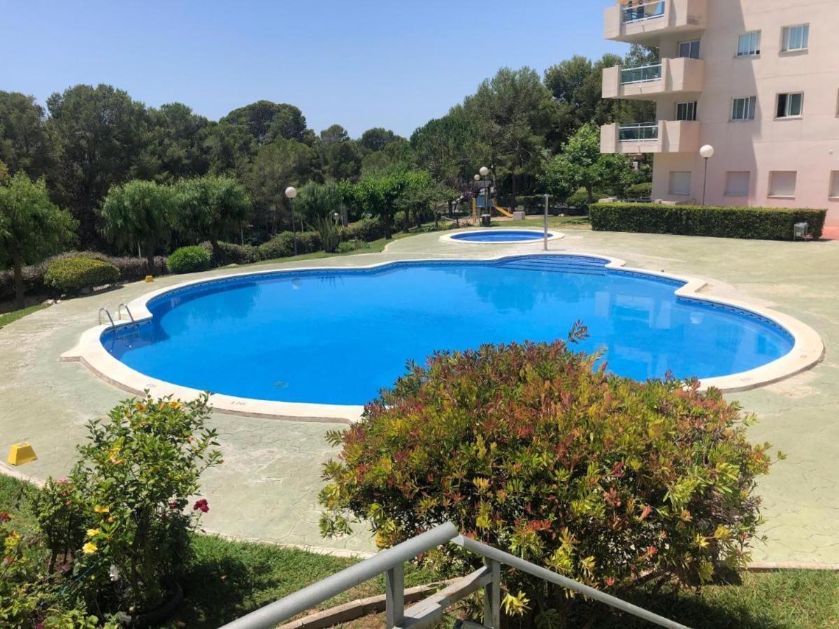 Apartment Apto La Mimosa - *